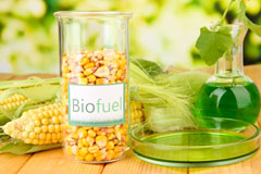 Nether Kidston biofuel availability